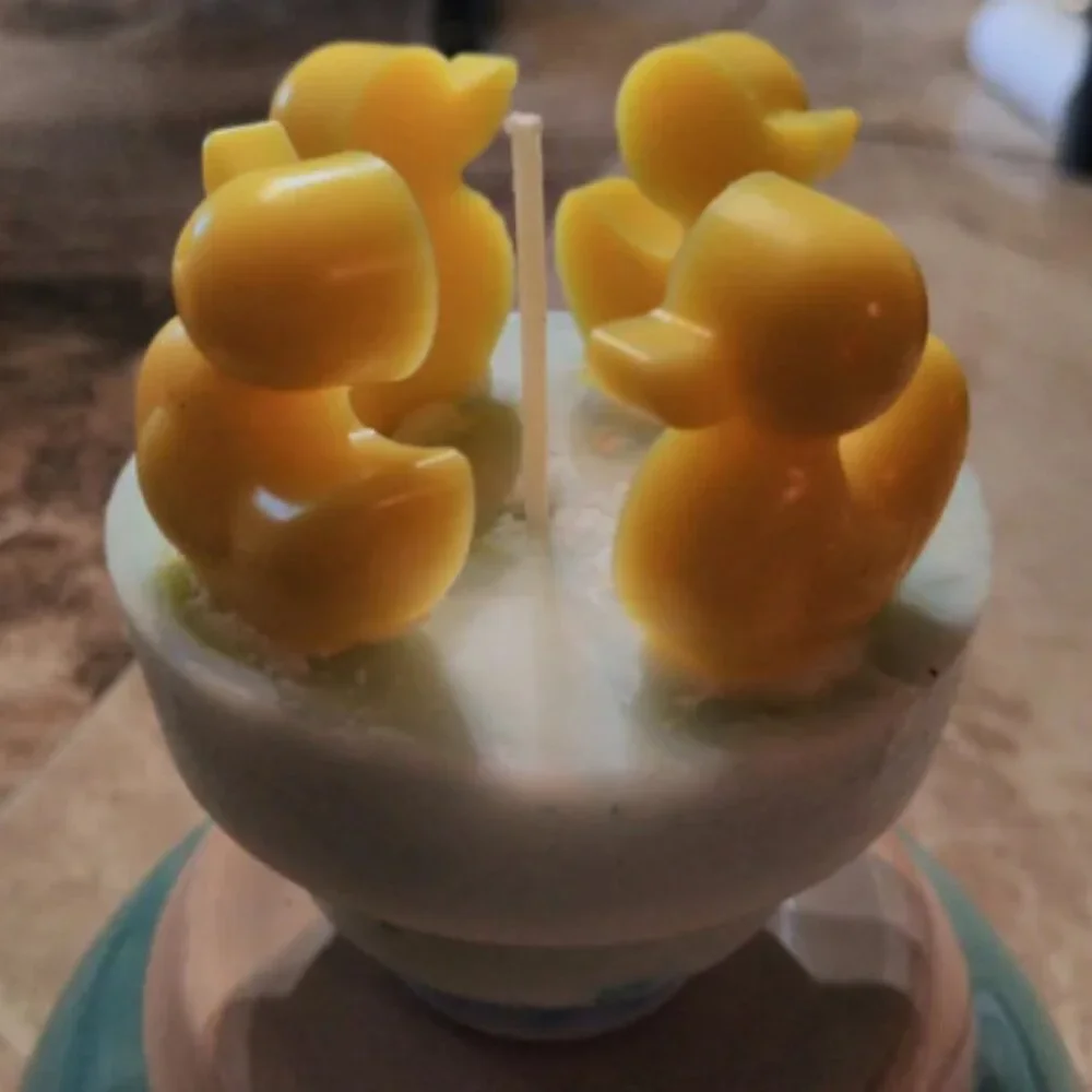 Duck Duck Goose Candle